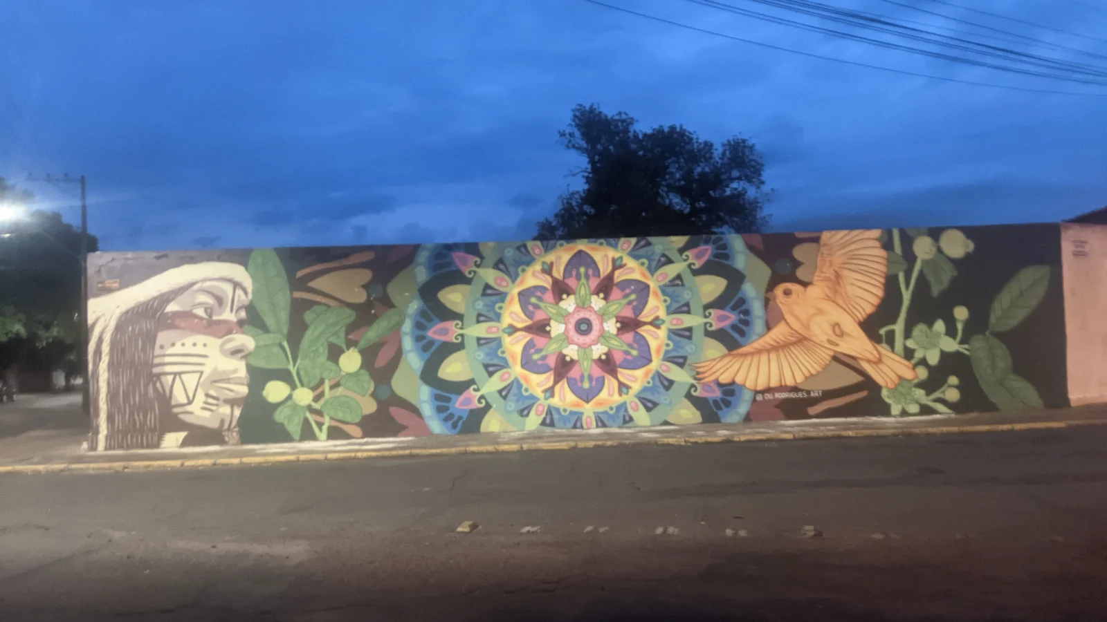 Painel de arte urbana pintado em Araçatuba