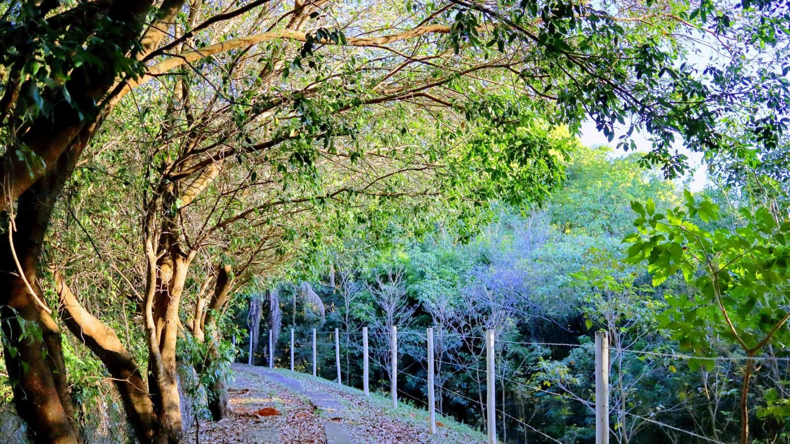 Natureza em Marília: parques e experiências rurais com cuidado